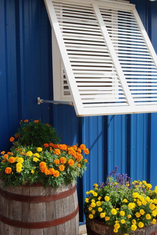 Shutters Replacement in Richmond, VA