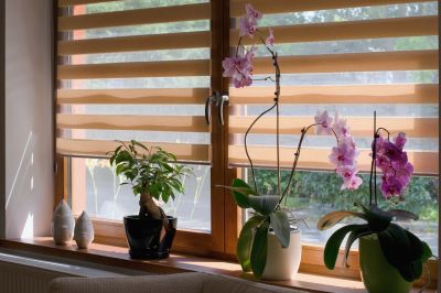 Plantation Blinds Repair in Longmont, CO