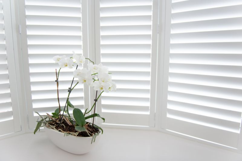Window Shutters Replacement in Alpharetta, GA